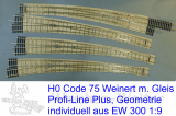 EW  300 1:9  -  H0: r 3448mm/6,34°