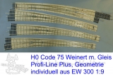 EW  300 1:9  -  H0: r 3448mm/6,34°