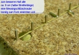 50 brass-screws 2x12mm